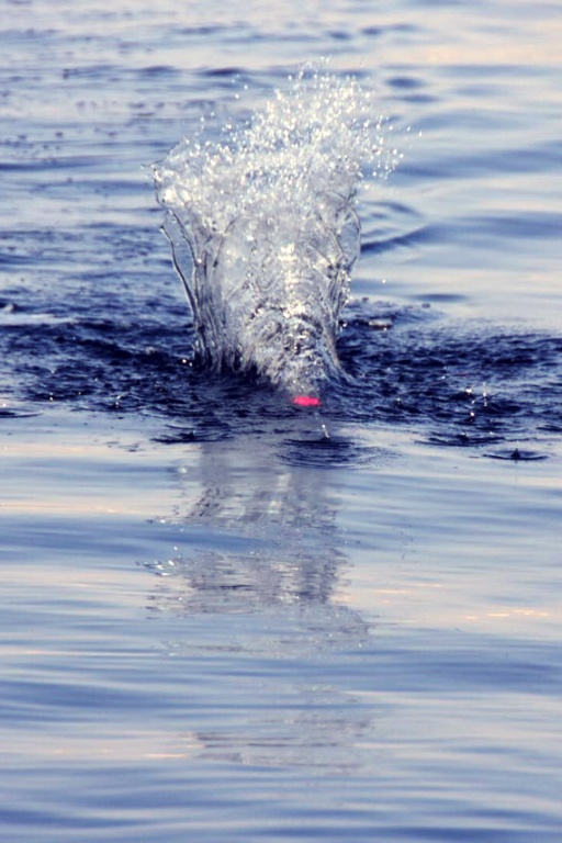 Une explosion d'eau !