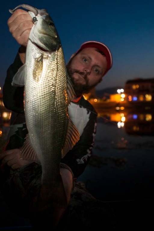 Slit shad au crepuscule