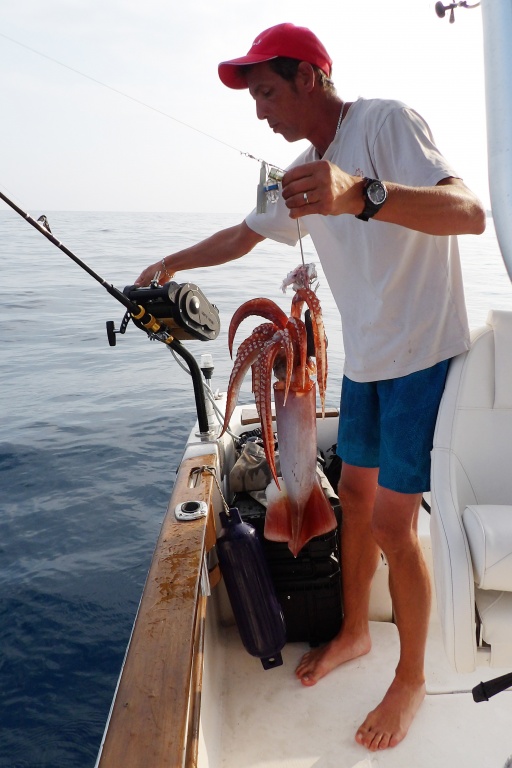 Fabien sort le calamar de l’eau en faisant pivoter la canne à talon coudé Fabien sort le calamar de l’eau en faisant pivoter la canne à talon coudé