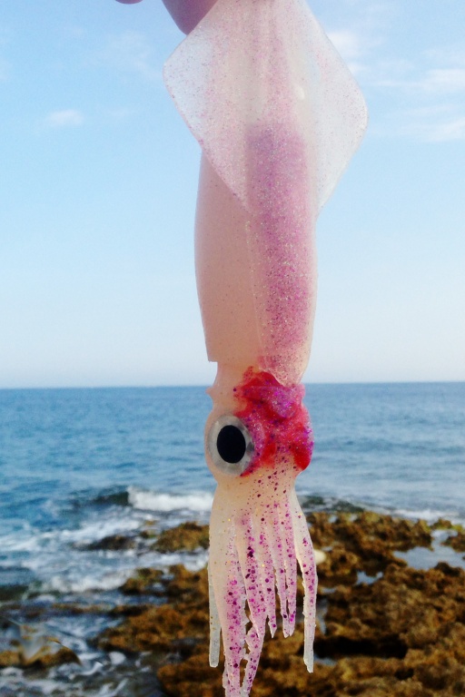 Le Destroyer SquidArt s'habille de très belles couleurs Le Destroyer SquidArt s'habille de très belles couleurs