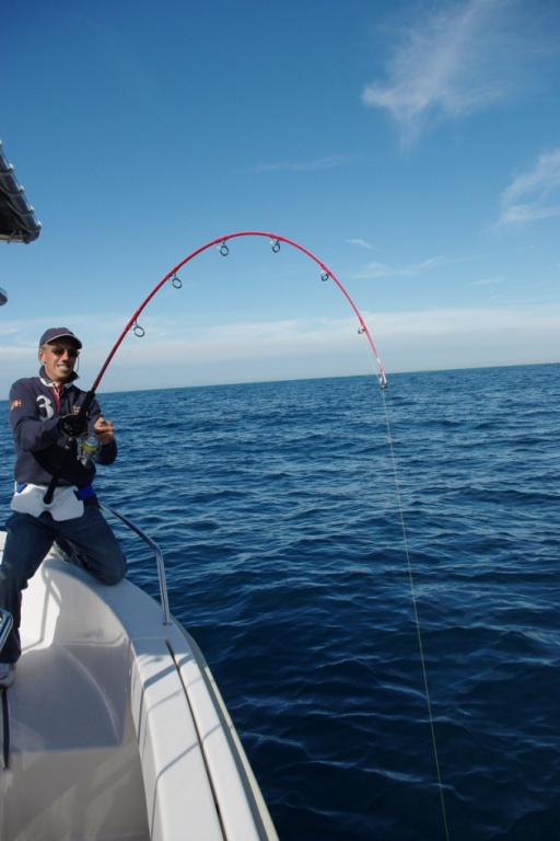 Pêche au thon avec un Baudrier