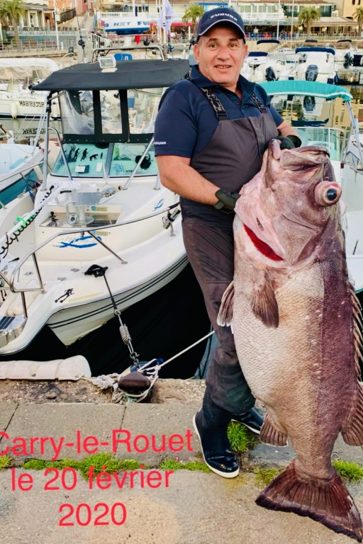 Très beau cernier pêché par Philippe Maréchal Très beau cernier pêché par Philippe Maréchal