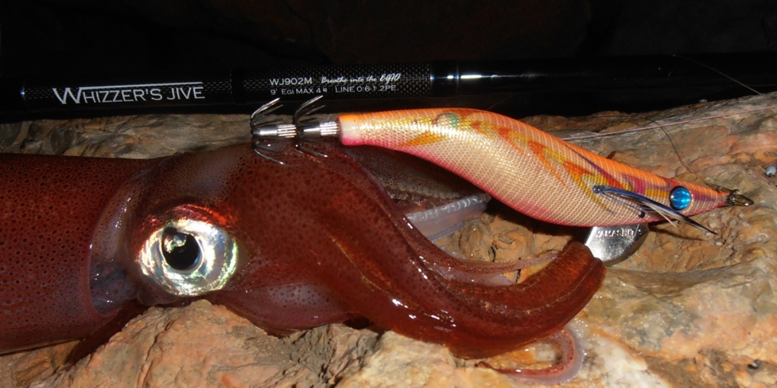 actu-yamashita-2013-3.jpg