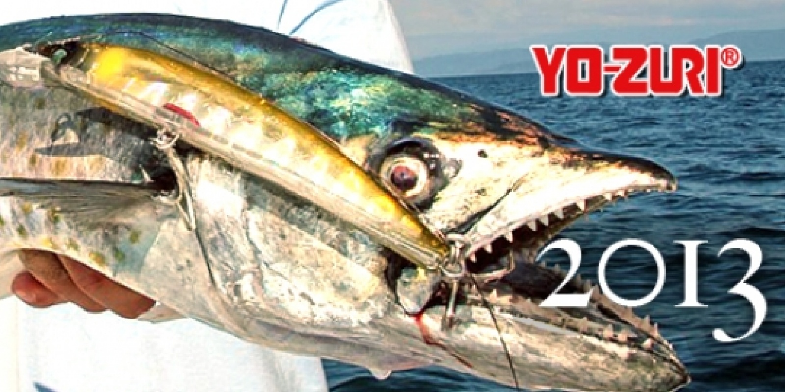 catalogue-yo-zuri-2013.jpg