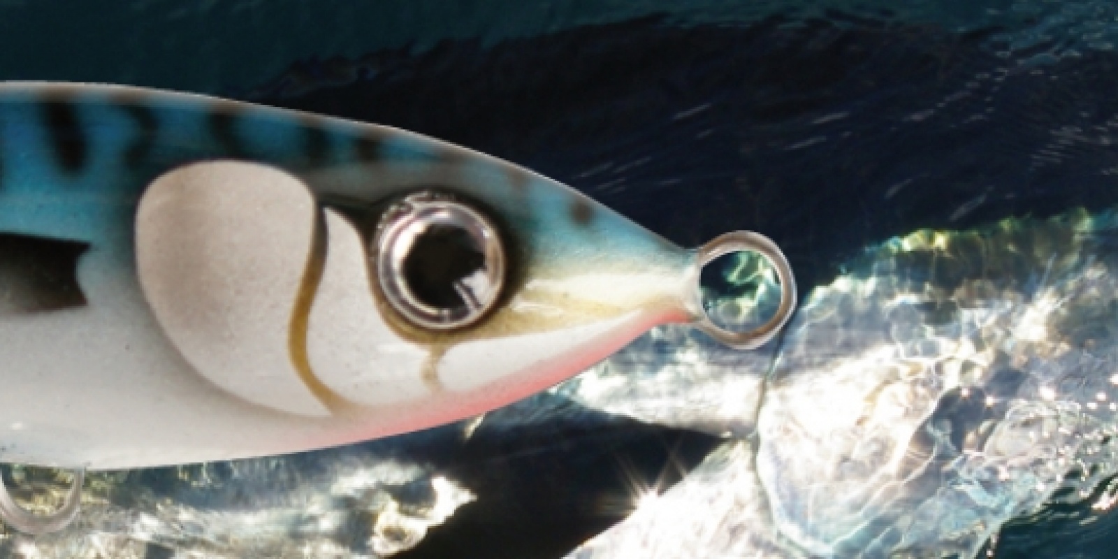 leurre-a-thon-bertox-tuna.jpg