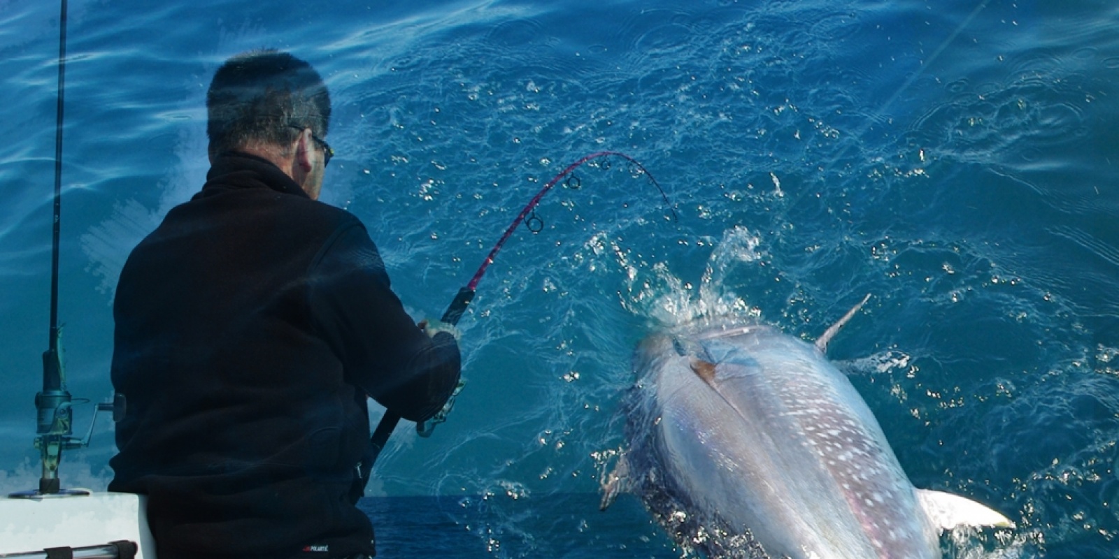 leurre-shimano-ocea-bluefin-tuna-peche-au-thon.jpg