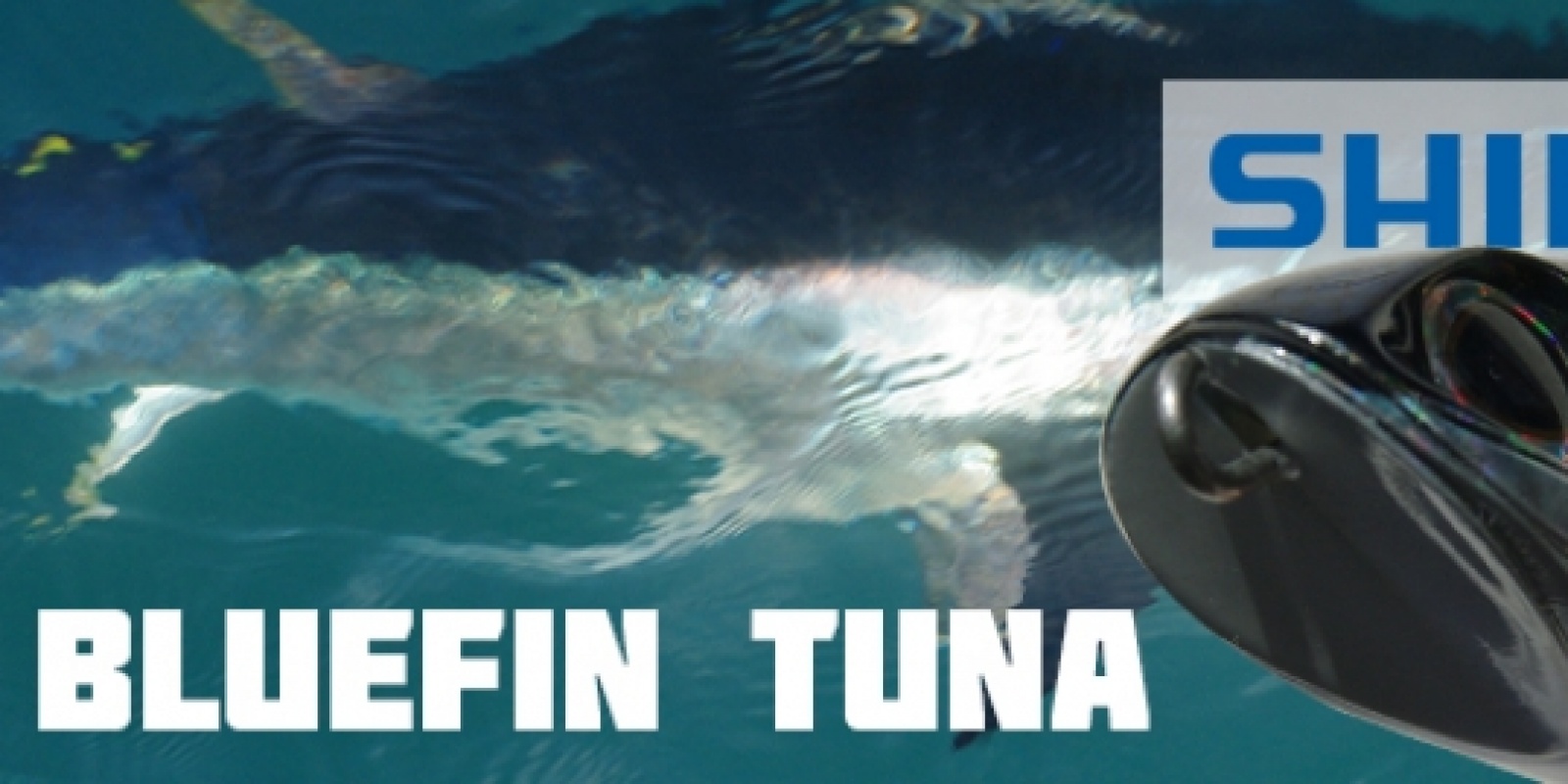 leurre-shimano-ocea-bluefin-tuna.jpg