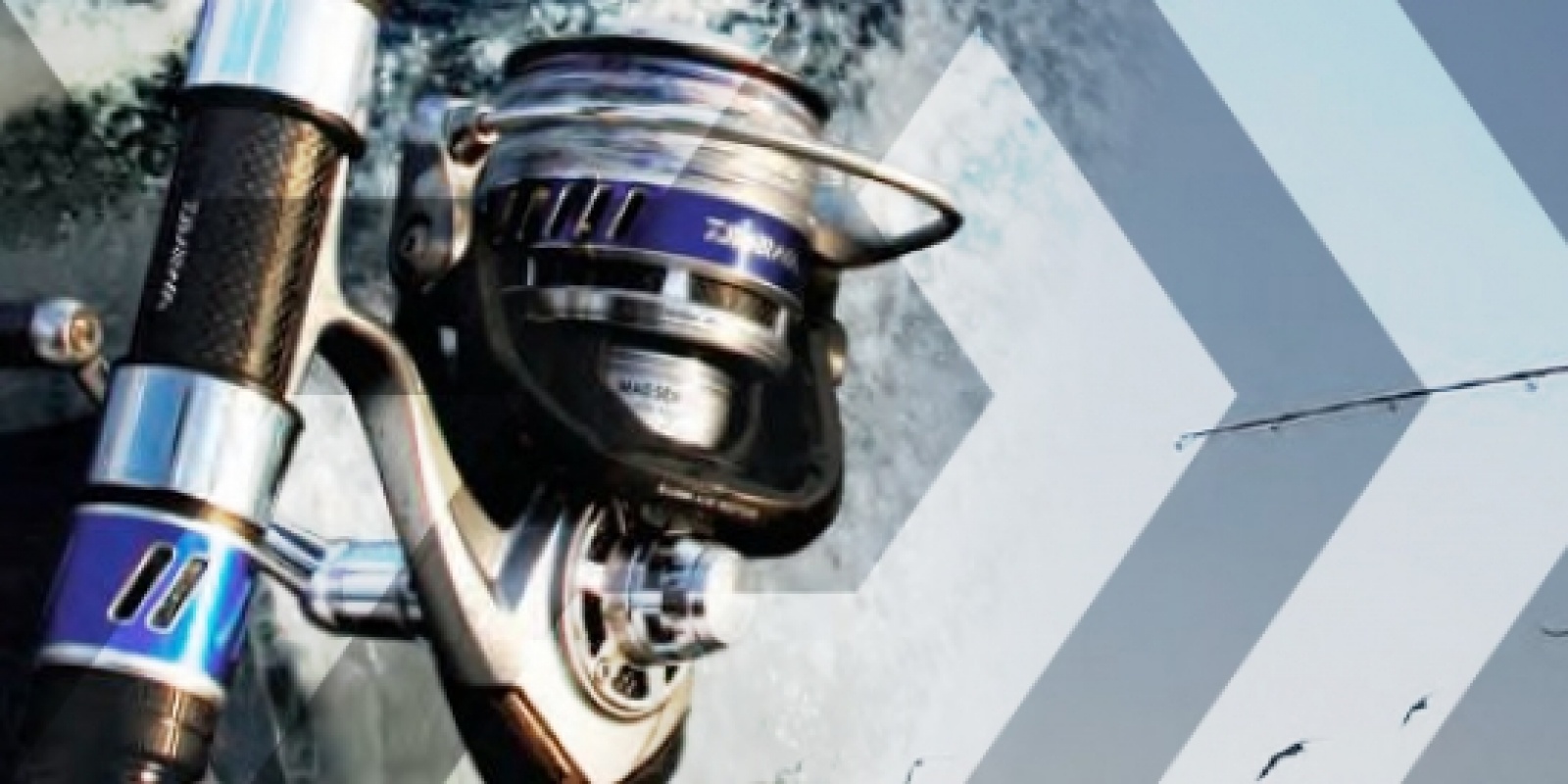 moulinets-le-point-sur-la-gamme-daiwa.jpg