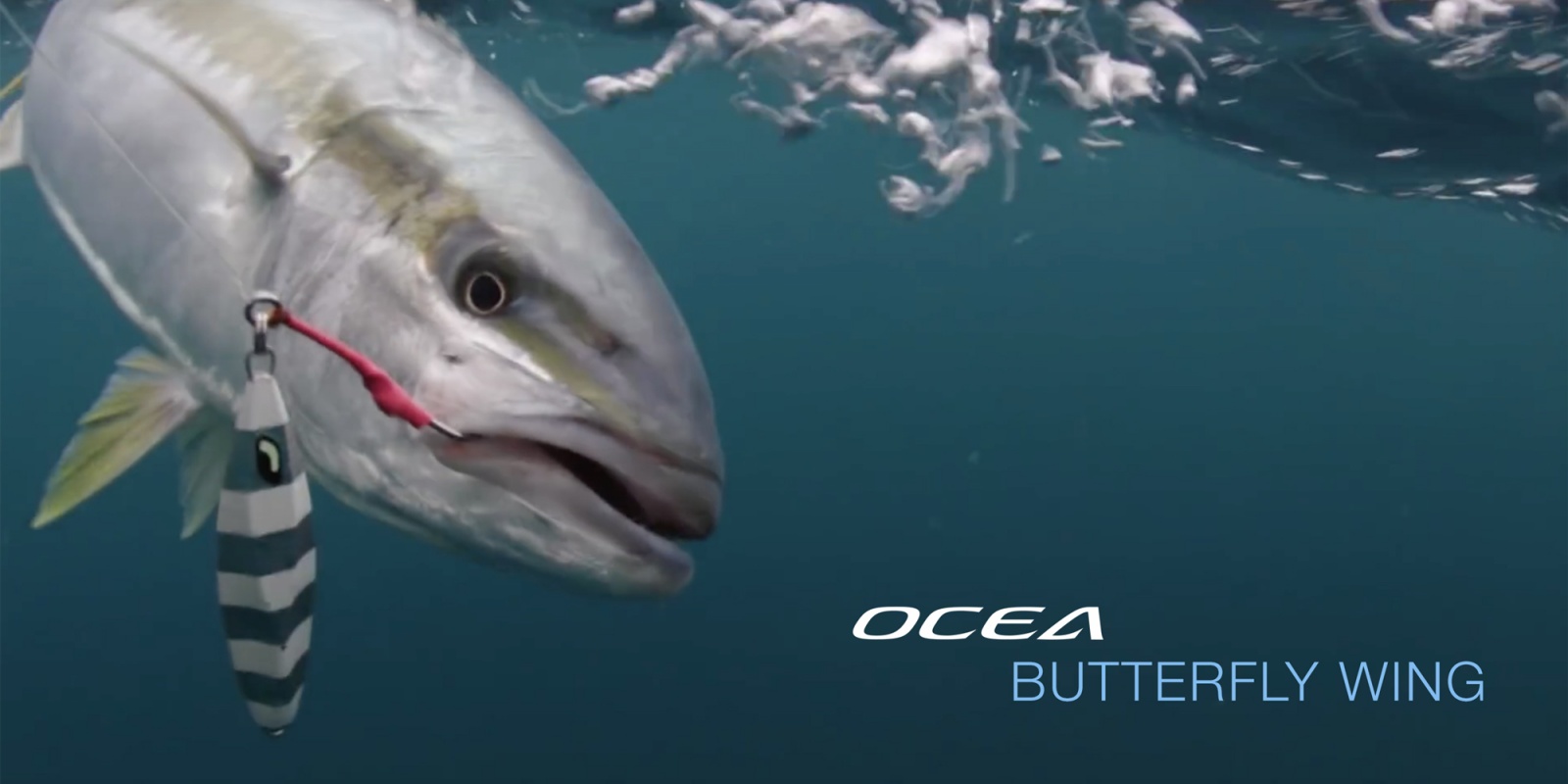 ocea-butterfly-wing-en-peche.jpg Aucune description