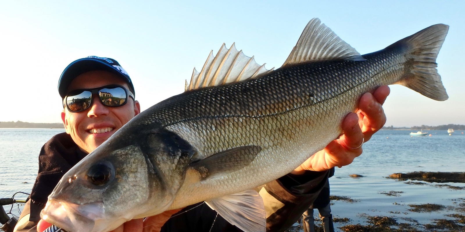 peche-stickbait-17.jpg Superbe bar (loup de mer) au Zara Puppy Spook