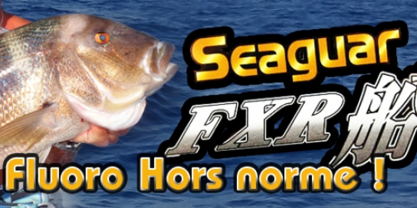 seaguar-fxr-un-fluorocarbone-top.jpg