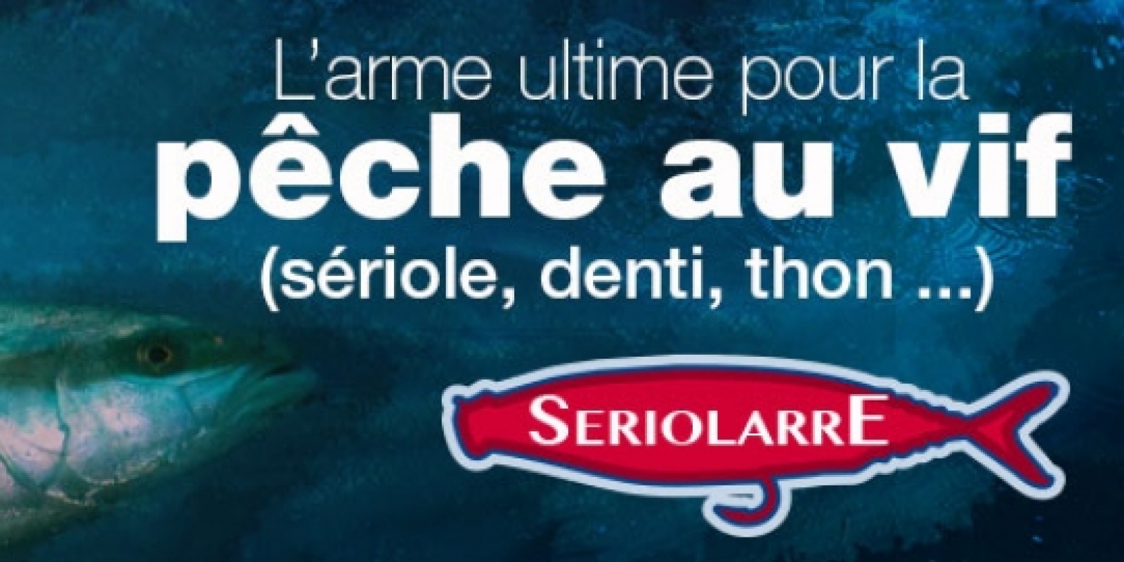 seriolarre-pour-la-peche-au-vif.jpg