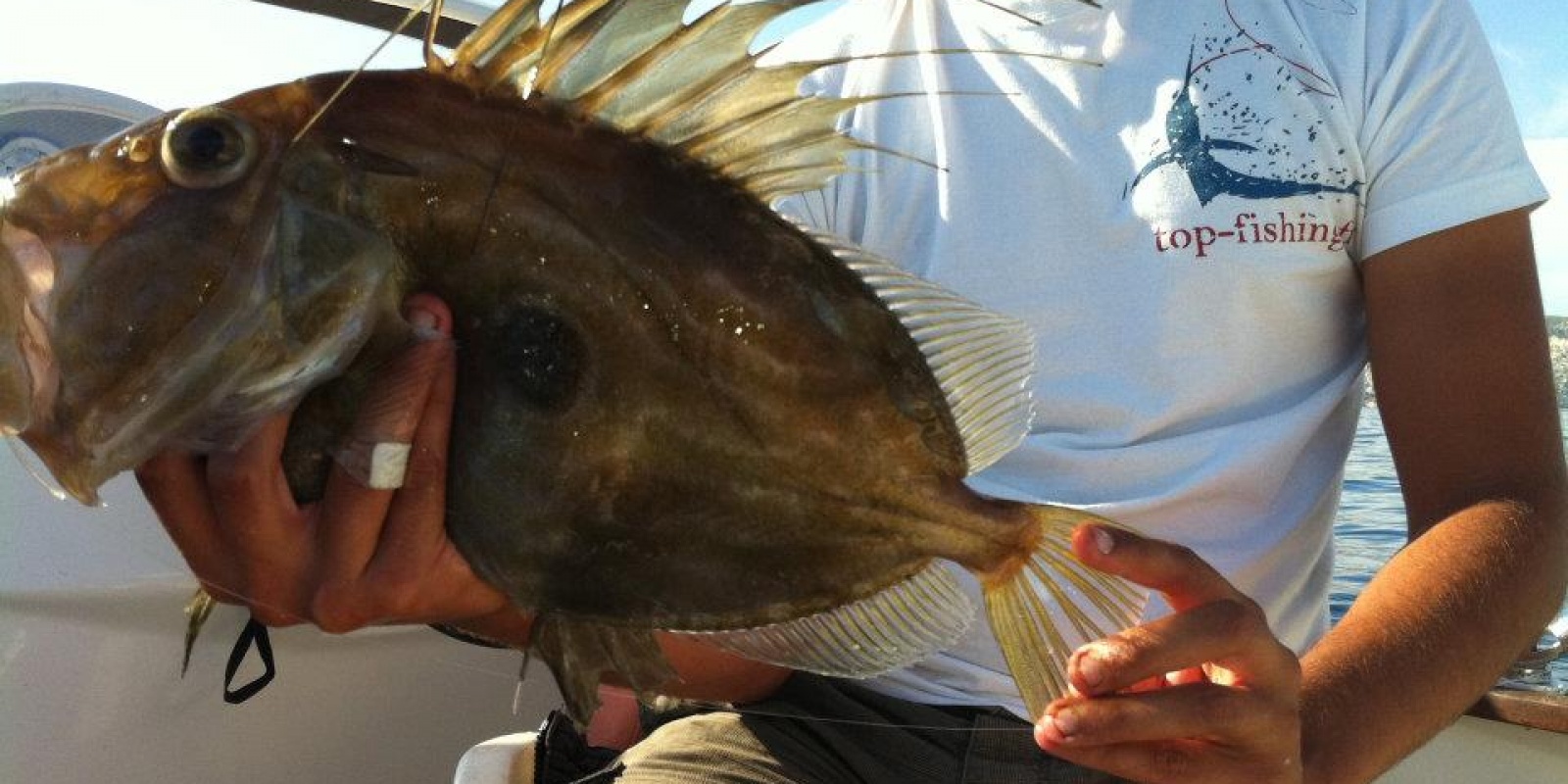 st-pierre-poisson.jpg Aucune description