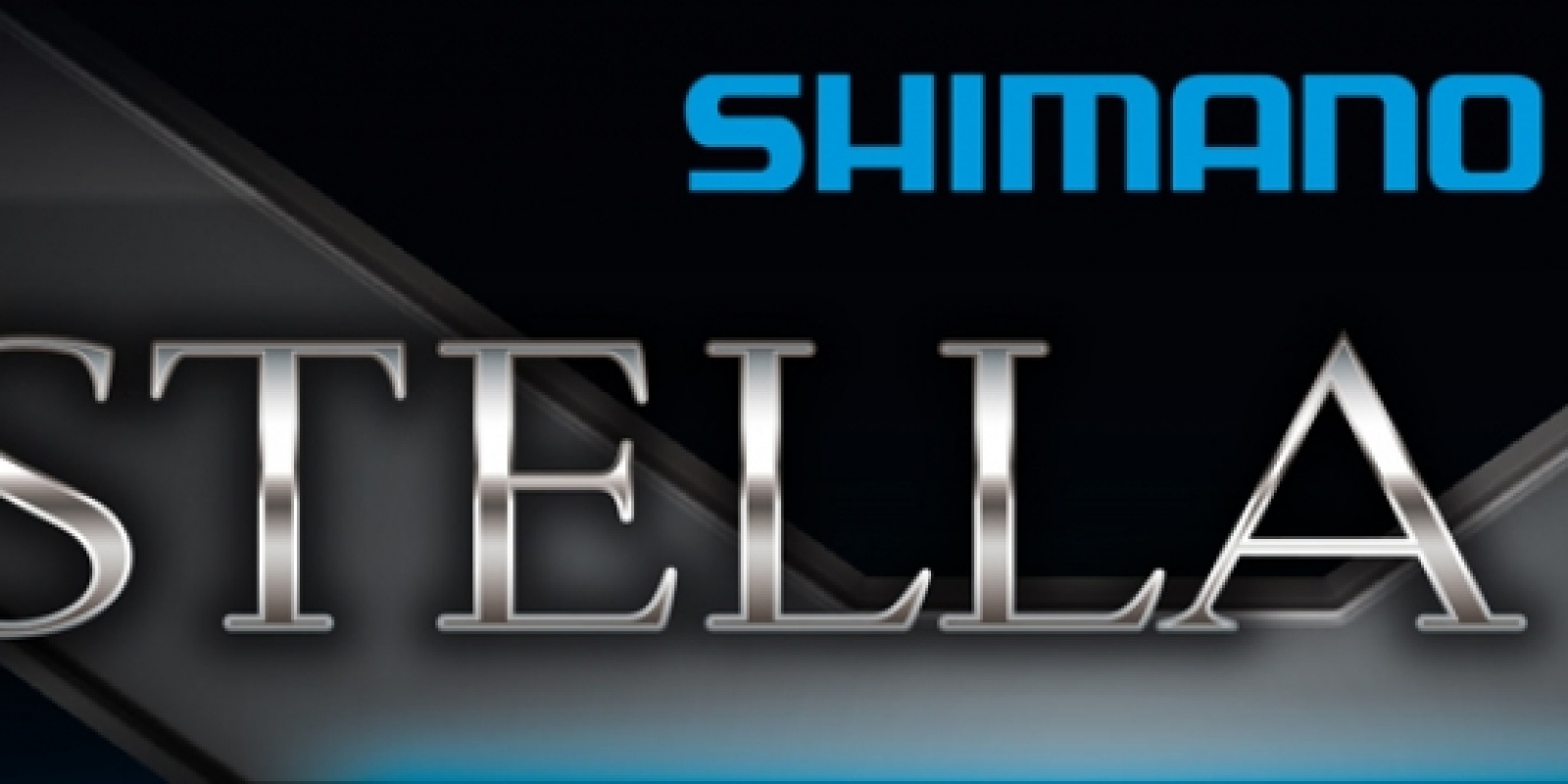 stella-sw-2013.jpg