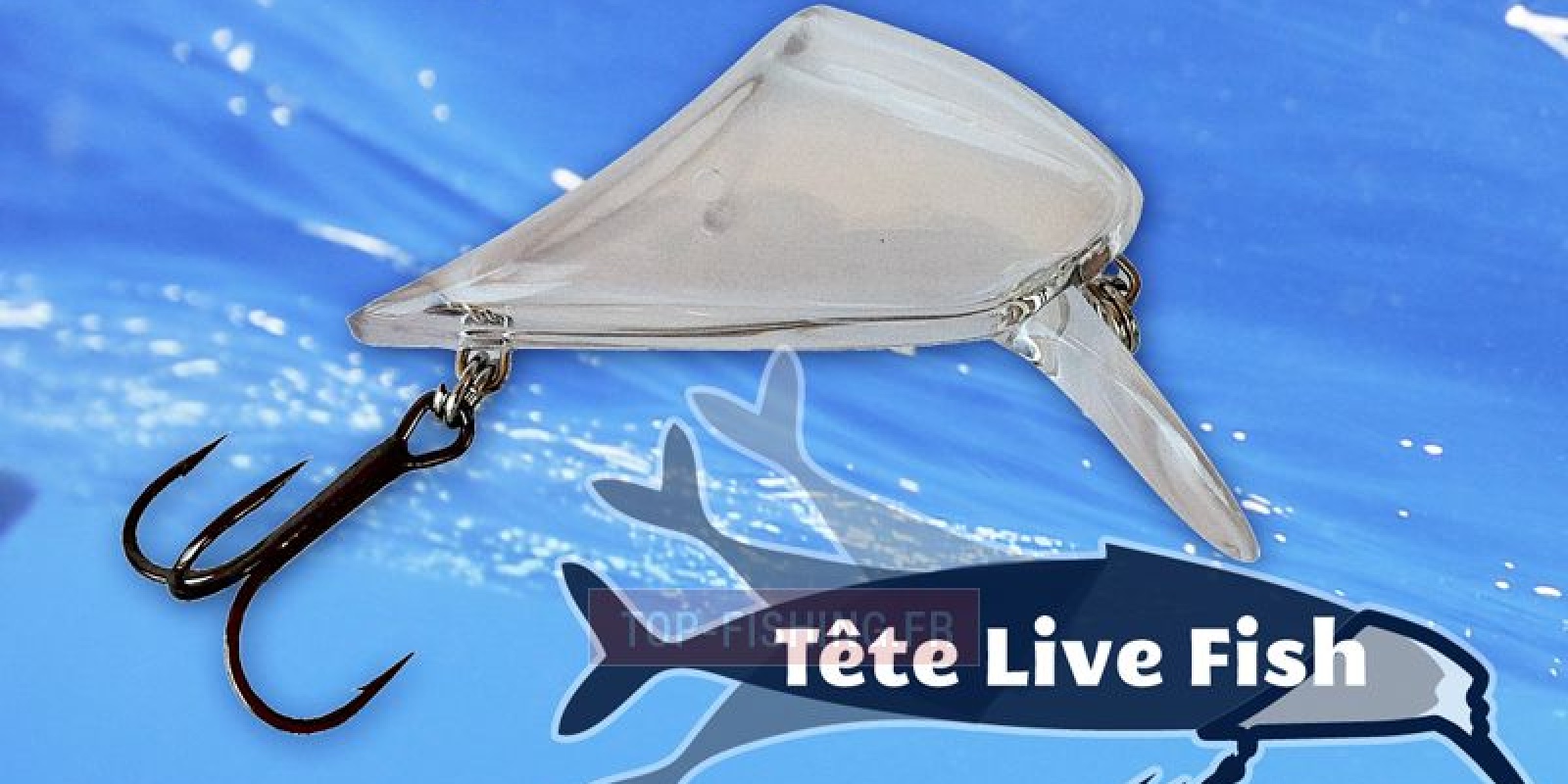 tete-live-fish.jpg Aucune description