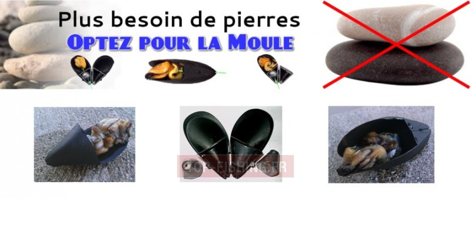 top-sea-moule-marseillaise.jpg présentation de moule marseillaise