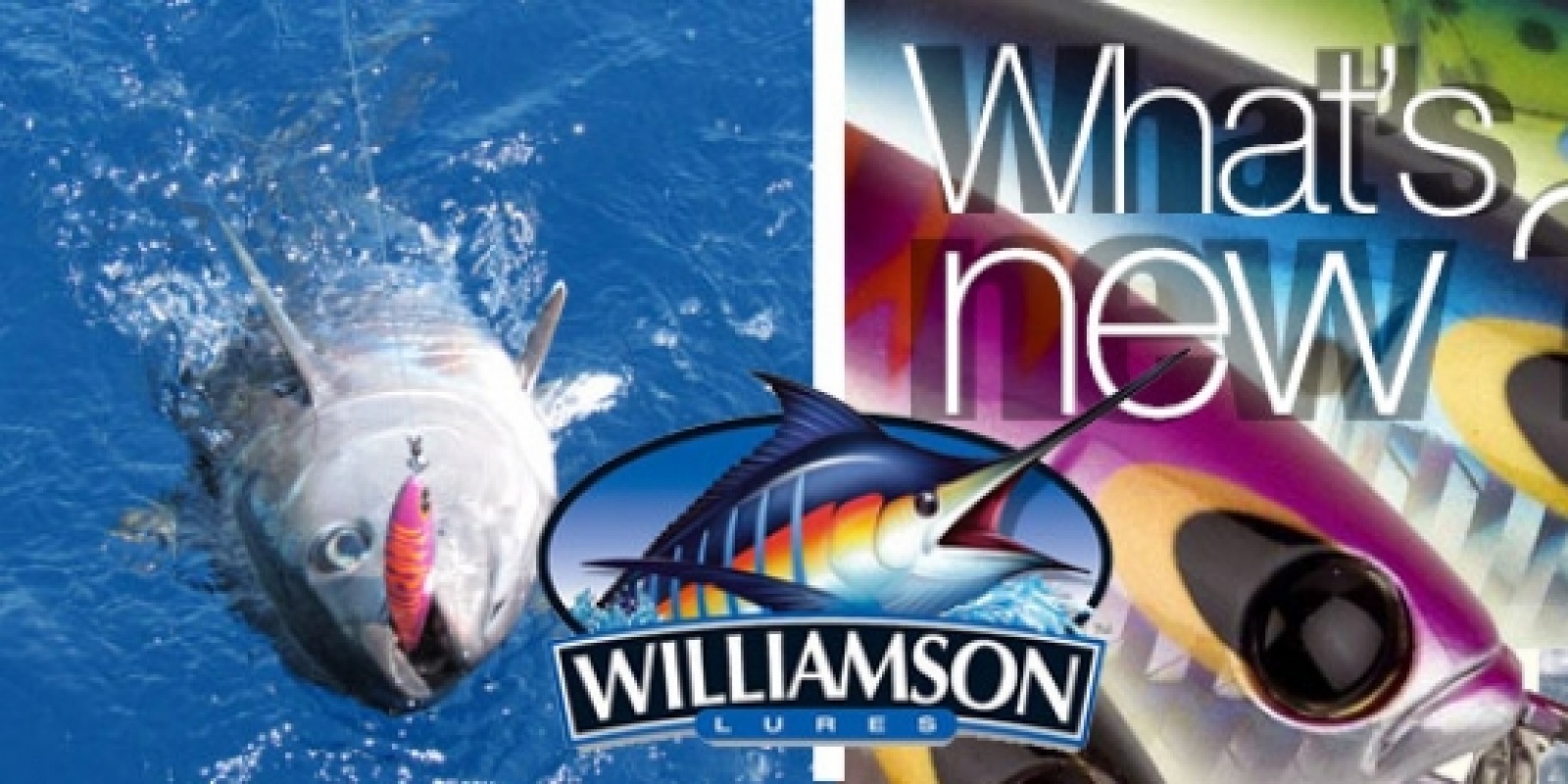 williamson-catalogue-2014.jpg