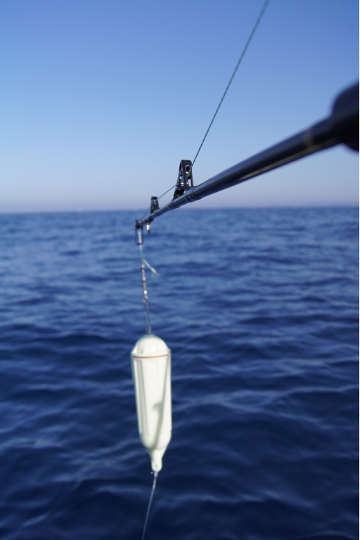 Lampe stromboscopique LP15 Kristal Fishing
