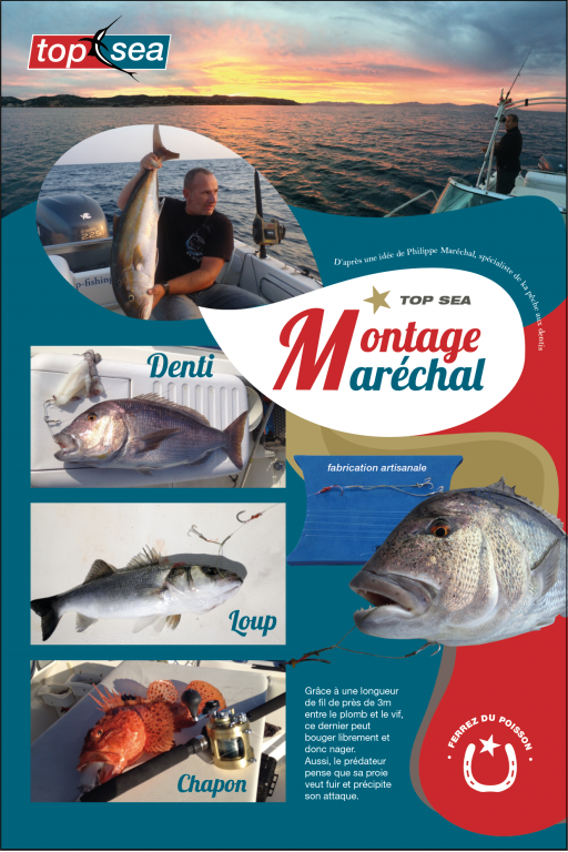 Affiche montage Top Sea Maréchal