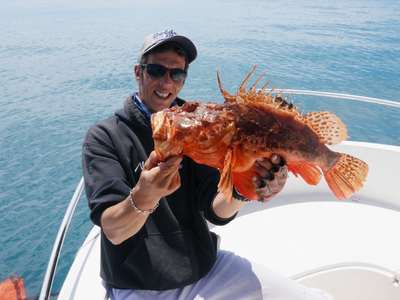 Magnifique chapon pris avec la technique du downrigger !