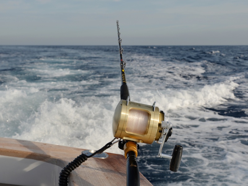 Canne 40 lb en action de traîne à 7 nœuds