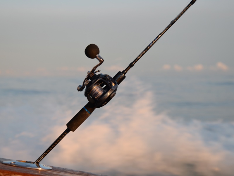 Canne Amazing Top Fishing 