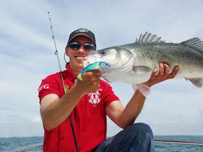 2-superbe-bar-7kg-pris-shad-premonte-texan-blue-shad.jpg Superbe bar de 7.1 kg pris au shad prémonté en texan Blue Shad Flashmer