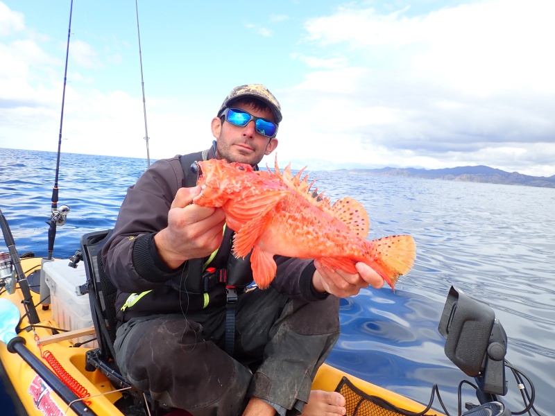 Magnifique chapon pêché avec un tenya Explorer Deep Explorer Tackle