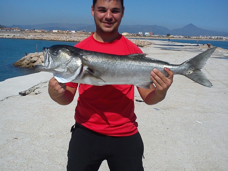205tassergal.jpg Superbe tassergal de 6 kg pris du bord au vif par Marc!