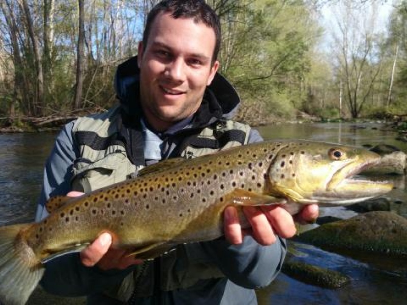Alexandre, representant Clee/Yamashita France