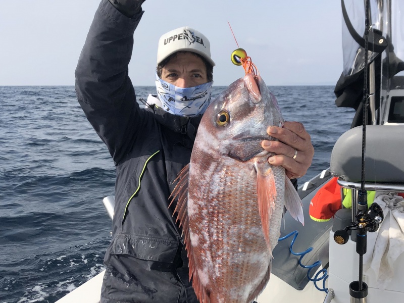 23-magnifique-pagre-3.5-kg-.jpg Magnifique pagre de 3,5 kg pris au madaï jig par Fabien Harbers avec l’Amazing Top fishing !