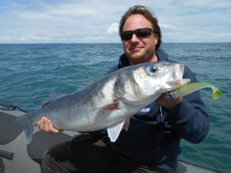 Un bar de ce poids est le rêve de nombreux pêcheurs aux leurres ! 