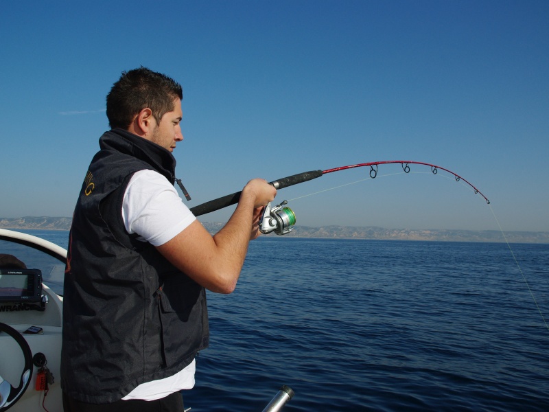 Gros combat avec la Jig Killer Italcanna !
