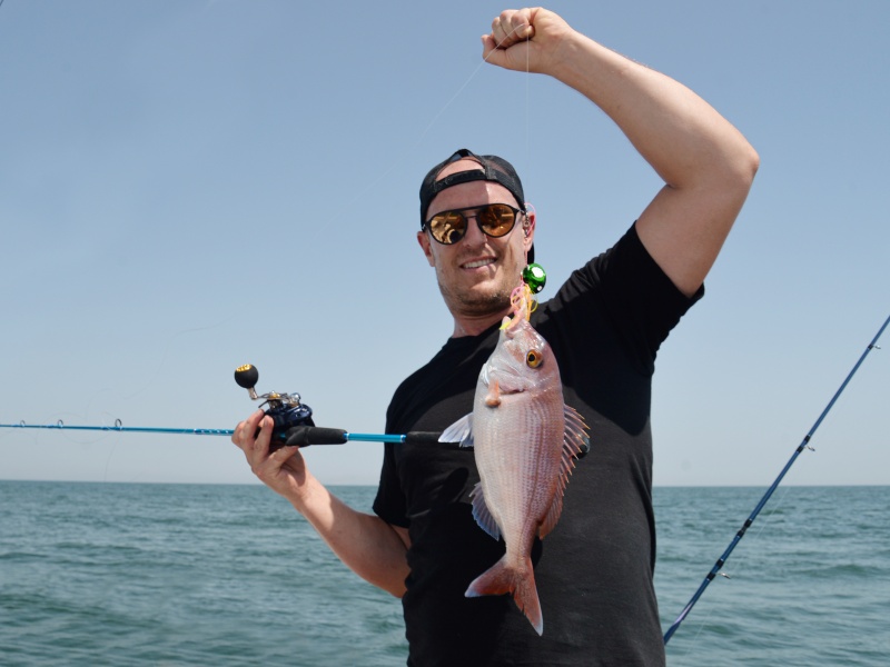 Pagre pris au kabura Shugo Explorer Tackle boosté aux lanières de calamar