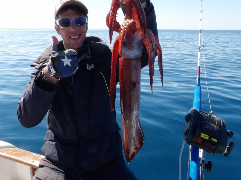 25-calamar-pris-jiggant-turlutte-plombee-.jpg Calamar pris par Fabien Harbers en jiggant une turlutte plombée lumineuse avec le moulinet électrique XL 600 Kristal Fishing description