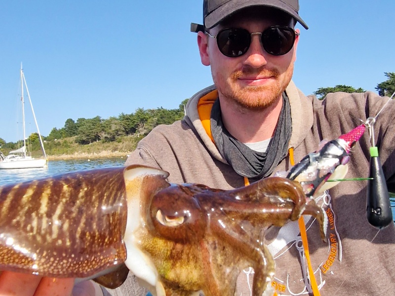 Grosse seiche prise avec Sushi-Q – Bait Holder Yo-Zuri 