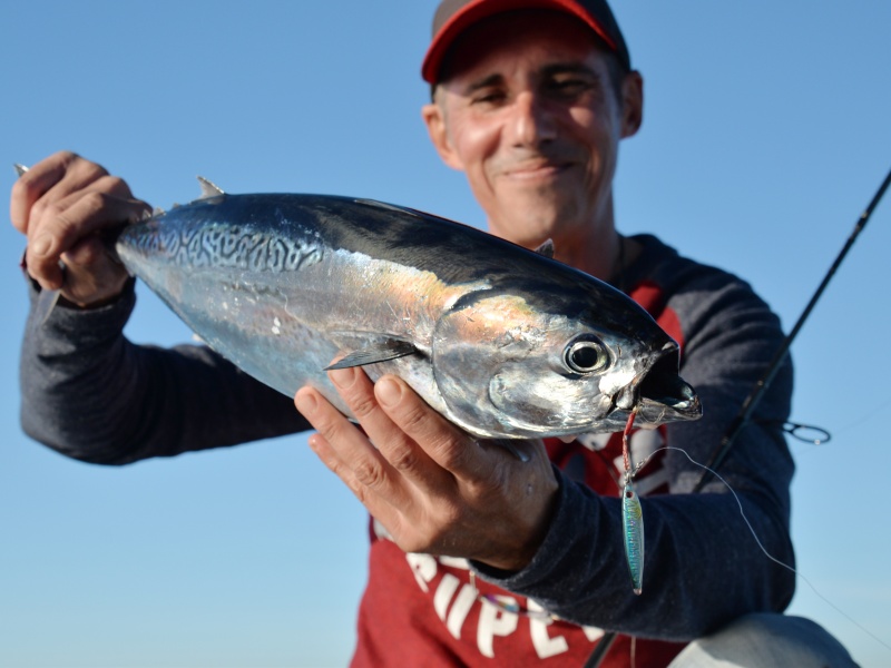 5-bonites-au-casting-jig.jpg Avec un simple assist en tête, la nage en swimming du Métal Spot est ultra efficace sur les bonites !