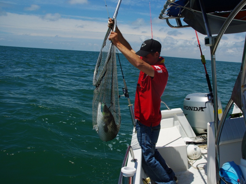 Magnifique bar de 7.1 kg pris en direct au gros shad