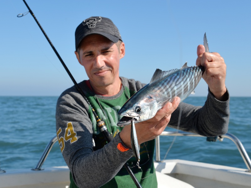 Le jig minnow Athlete 9JM Jackson nous a permis de multiplier les prises de bonites !