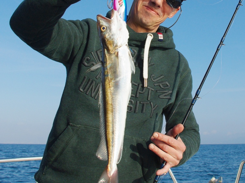 6-slow-jigs-sont-excellents-leurres.jpg Les slow jigs sont d’excellents leurres pour pêcher les merlus !