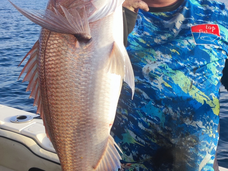 8-fireball-top-sea-hyper-efficace-beaux-sparides-carnassiers.jpg Le Fireball Top Sea est hyper efficace sur les beaux sparidés carnassiers