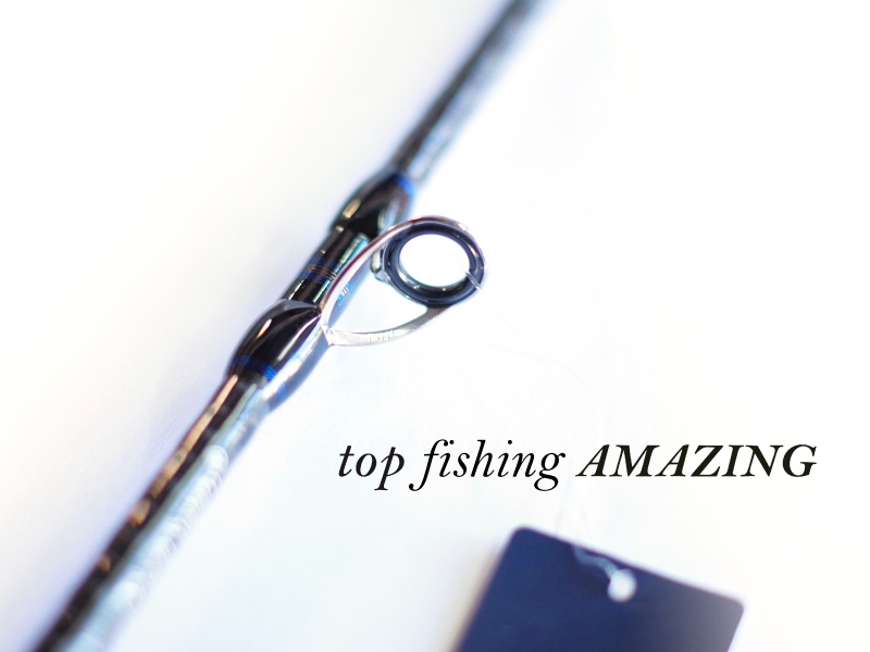 Canne Top Fishing Amazing, des anneaux Fuji