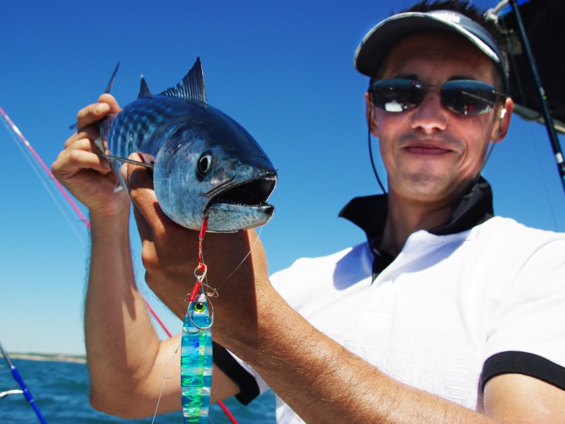 Pélamide pris à en light jigging avec un casting jig armé avec un double assist light en tête