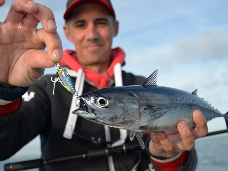 armement-casting-jig-18.jpg Avec un assist en queue et un double assist en tête, le Drag Métal Cast slow Duo prend même lors de sa descente à l’horizontale.