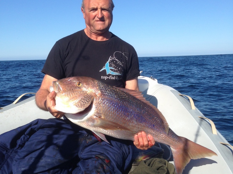 denti pris au fireball par Mr Brancato