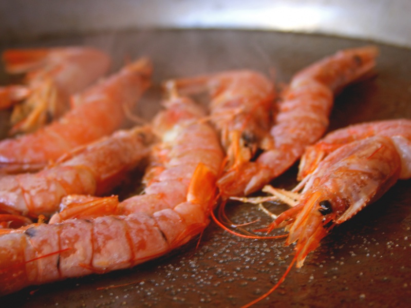 gambas-appat-chapon.jpg Gambas, l'appât le plus à même de faire sortir un chapon
