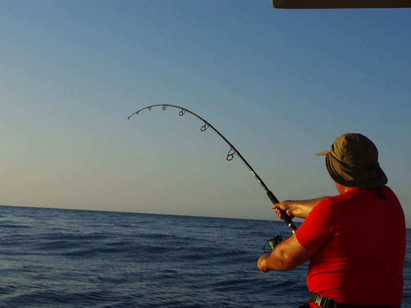 High Speed Vibe un must have pour les pêches exotiques