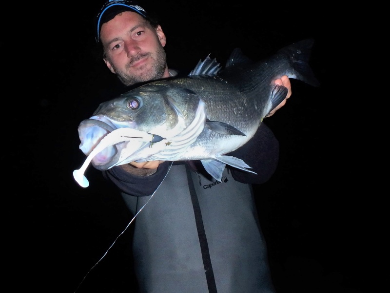 Le pulse est redoutable pour les pêches du bord de nuit
