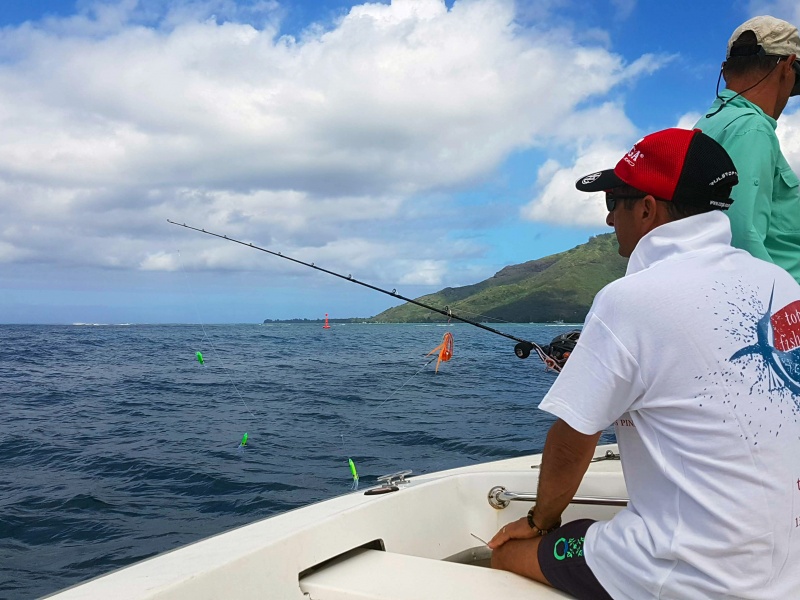 Daniel se fait une idée des pêches locales, un mitraillette à base d'octopus