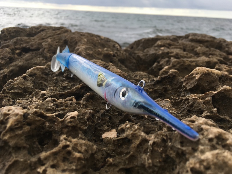 L'orphie est caractérisée par son rostre, on l'appelle aiguillette ou bécasse en Méditerranée